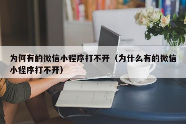 为何有的微信小程序打不开（为什么有的微信小程序打不开）