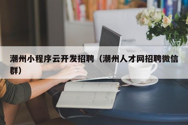 潮州小程序云开发招聘（潮州人才网招聘微信群）