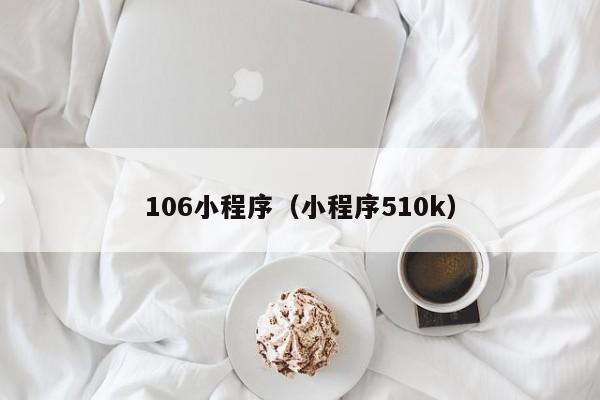 106小程序（小程序510k）