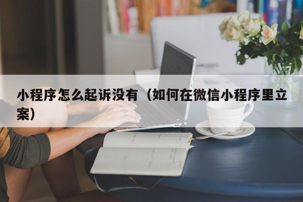 小程序怎么起诉没有（如何在微信小程序里立案）