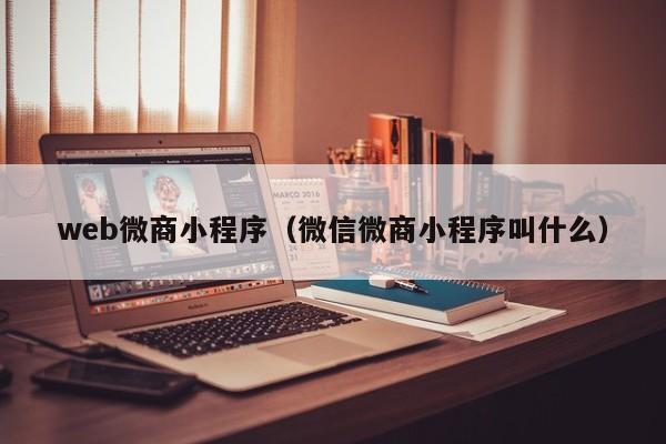 web微商小程序（微信微商小程序叫什么）