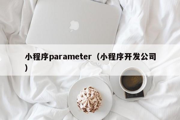 小程序parameter（小程序开发公司）