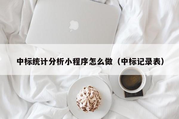 中标统计分析小程序怎么做（中标记录表）