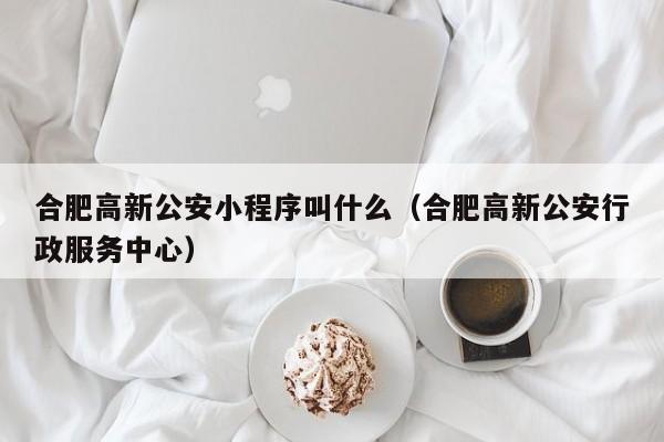 合肥高新公安小程序叫什么（合肥高新公安行政服务中心）