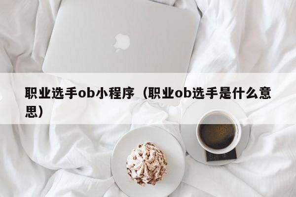 职业选手ob小程序（职业ob选手是什么意思）