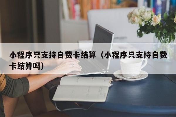 小程序只支持自费卡结算（小程序只支持自费卡结算吗）