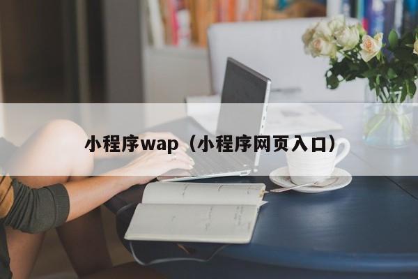 小程序wap（小程序网页入口）