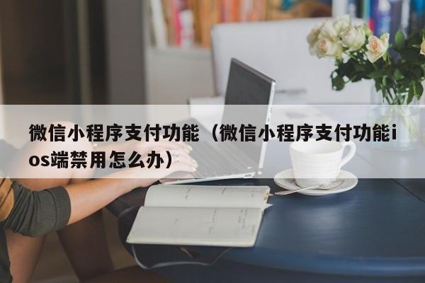 微信小程序支付功能（微信小程序支付功能ios端禁用怎么办）