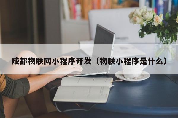 成都物联网小程序开发（物联小程序是什么）