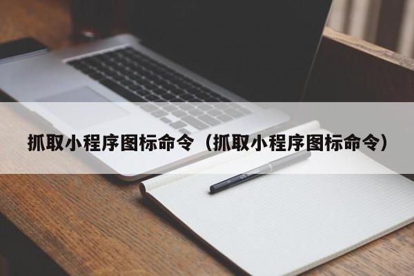 抓取小程序图标命令（抓取小程序图标命令）