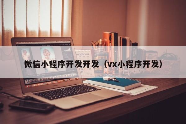 微信小程序开发开发（vx小程序开发）