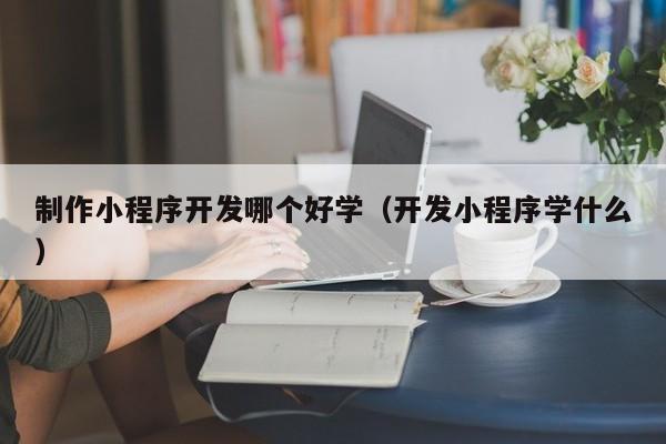 制作小程序开发哪个好学（开发小程序学什么）