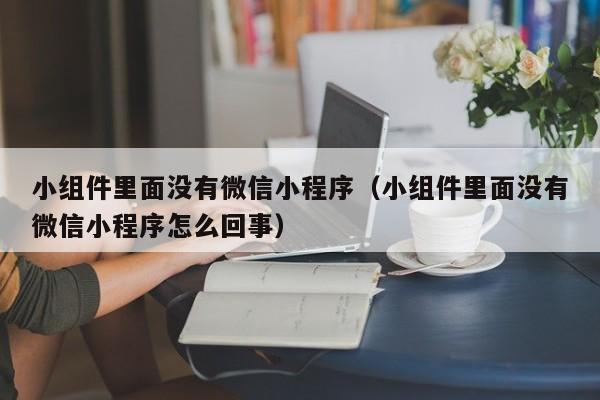 小组件里面没有微信小程序（小组件里面没有微信小程序怎么回事）