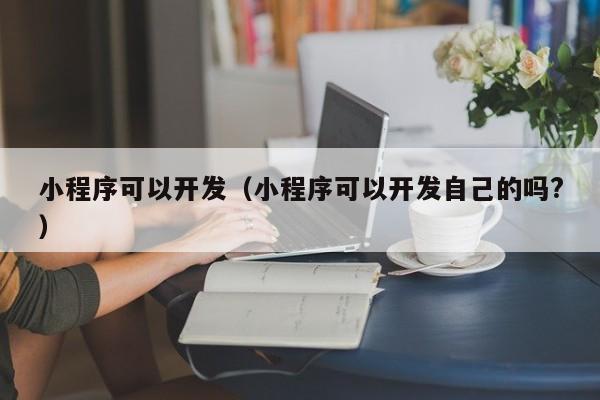 小程序可以开发（小程序可以开发自己的吗?）