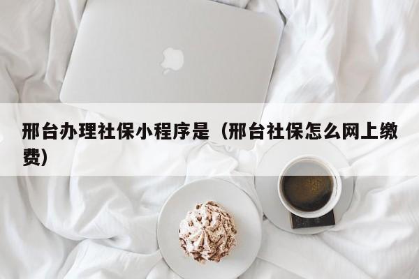 邢台办理社保小程序是（邢台社保怎么网上缴费）