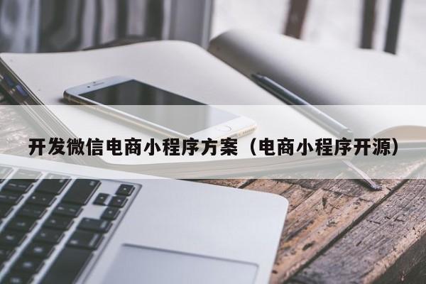 开发微信电商小程序方案（电商小程序开源）