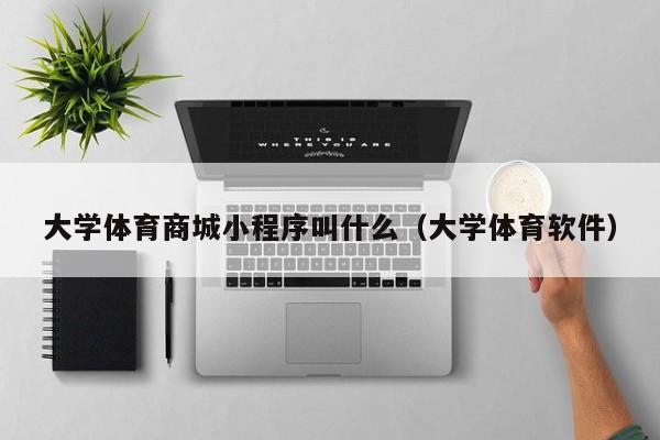 大学体育商城小程序叫什么（大学体育软件）