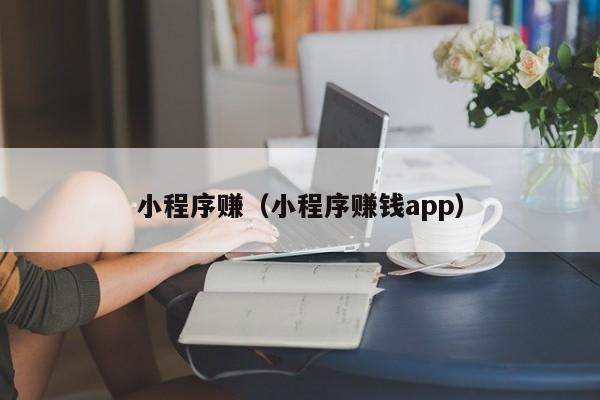 小程序赚（小程序赚钱app）