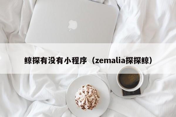 鲸探有没有小程序（zemalia探探鲸）