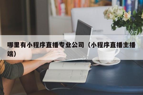 哪里有小程序直播专业公司（小程序直播主播端）