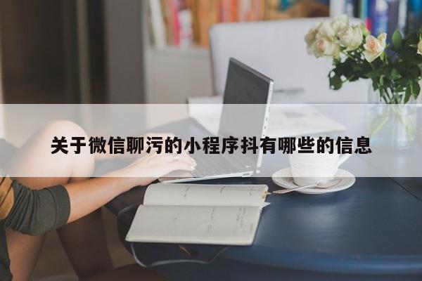 关于微信聊污的小程序抖有哪些的信息