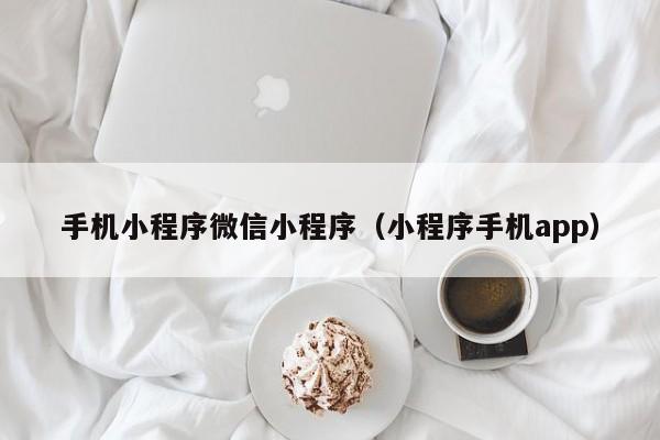 手机小程序微信小程序（小程序手机app）