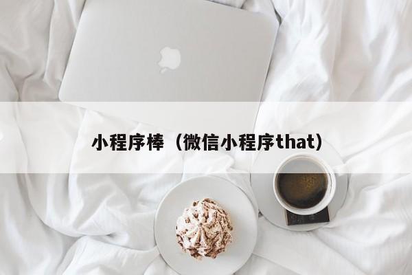 小程序棒（微信小程序that）