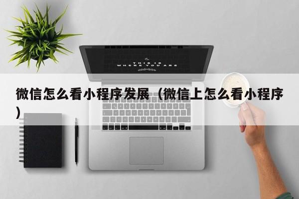 微信怎么看小程序发展（微信上怎么看小程序）