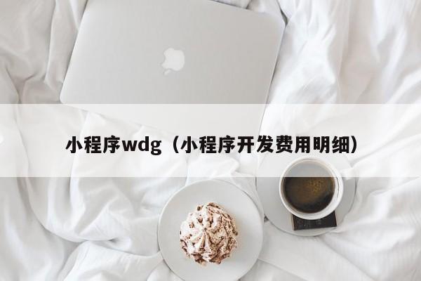 小程序wdg（小程序开发费用明细）