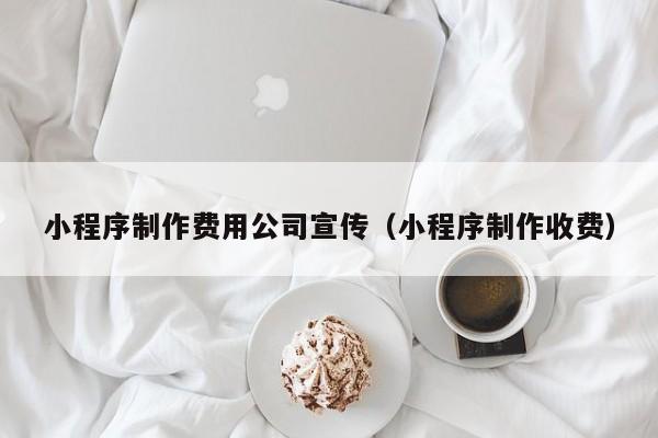 小程序制作费用公司宣传（小程序制作收费）