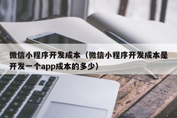 微信小程序开发成本（微信小程序开发成本是开发一个app成本的多少）