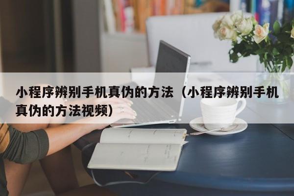 小程序辨别手机真伪的方法（小程序辨别手机真伪的方法视频）