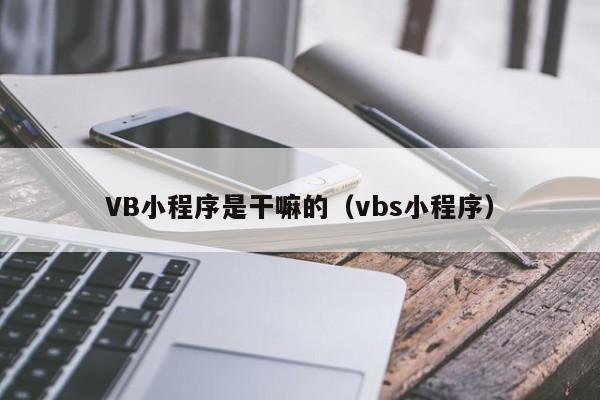 VB小程序是干嘛的（vbs小程序）