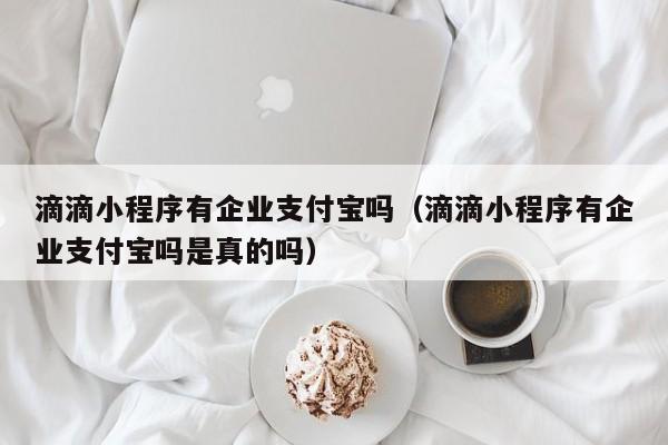 滴滴小程序有企业支付宝吗（滴滴小程序有企业支付宝吗是真的吗）