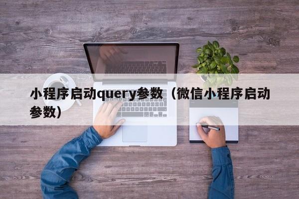 小程序启动query参数（微信小程序启动参数）