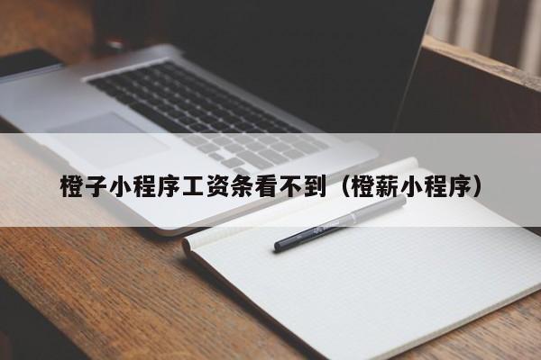 橙子小程序工资条看不到（橙薪小程序）