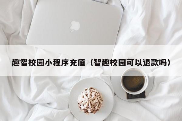 趣智校园小程序充值（智趣校园可以退款吗）