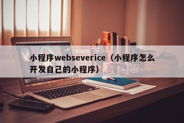 小程序webseverice（小程序怎么开发自己的小程序）
