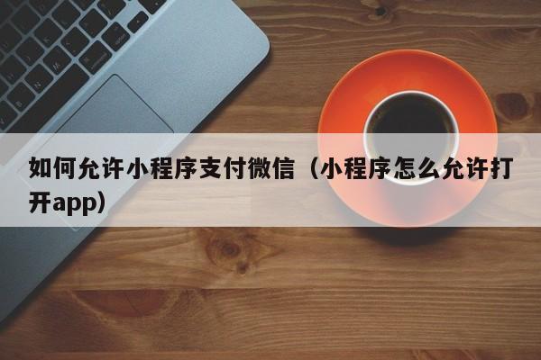 如何允许小程序支付微信（小程序怎么允许打开app）