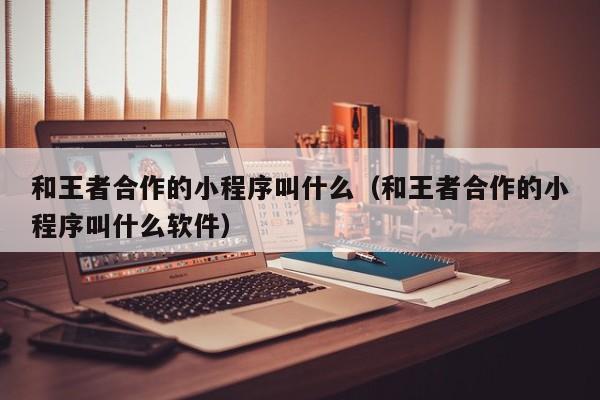 和王者合作的小程序叫什么（和王者合作的小程序叫什么软件）