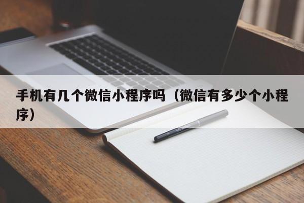 手机有几个微信小程序吗（微信有多少个小程序）