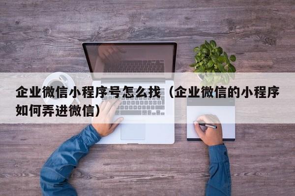 企业微信小程序号怎么找（企业微信的小程序如何弄进微信）