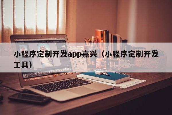 小程序定制开发app嘉兴（小程序定制开发工具）