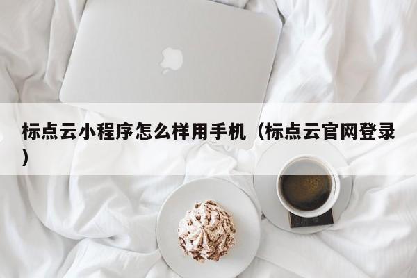 标点云小程序怎么样用手机（标点云官网登录）