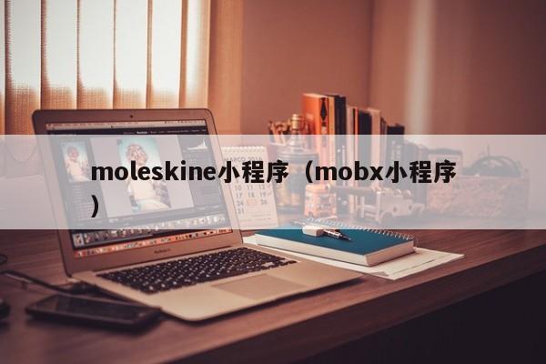 moleskine小程序（mobx小程序）