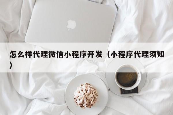 怎么样代理微信小程序开发（小程序代理须知）