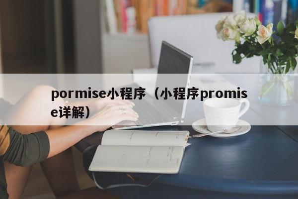 pormise小程序（小程序promise详解）