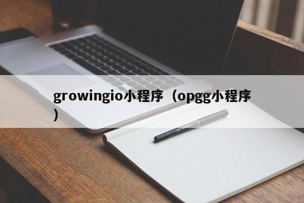 growingio小程序（opgg小程序）