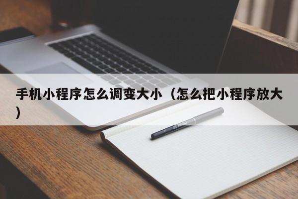 手机小程序怎么调变大小（怎么把小程序放大）