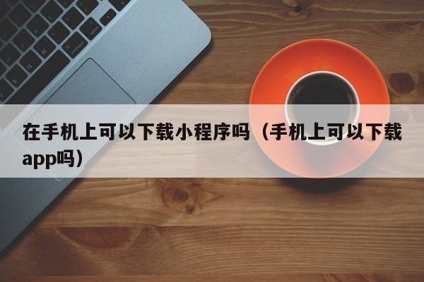 在手机上可以下载小程序吗（手机上可以下载app吗）